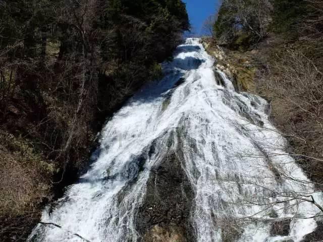 造物法则
